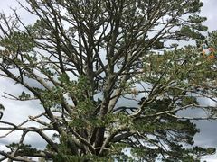 -霍比特人村