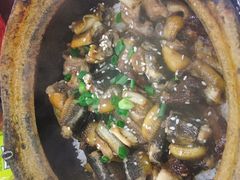 -红星光发煲仔饭(大石街店)
