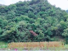 -照金香山旅游景区