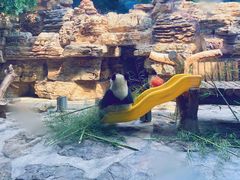 -石家庄市动物园