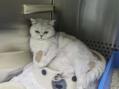 -美联众合动物医院·24h转诊中心