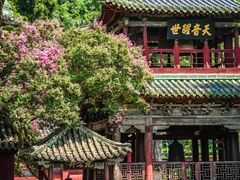 -报恩寺(平武县)