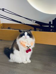 -闺蜜瑜伽·普拉提女性塑形馆