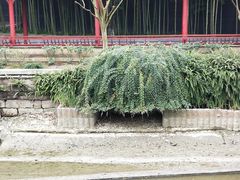 -龙潭水乡