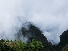 -牛背梁国家森林公园