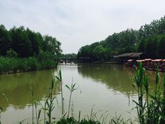 -溱湖国家湿地公园