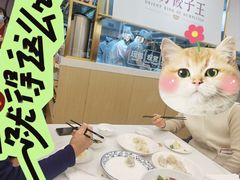 -东方饺子王(新奥购物中心店)