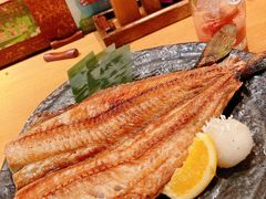 -九州酒场ひこぞう(1号店)
