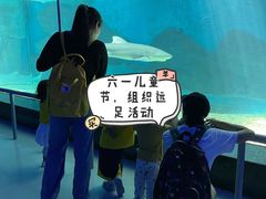 -伊顿幼儿园(济南大地锐城校区)