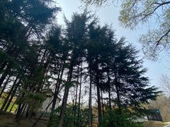 -南山公园