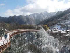 -少华山国家森林公园