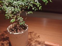 -CURRY YA 熟成咖哩專門店(深圳湾万象城店)