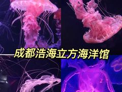 -成都浩海立方海洋公园