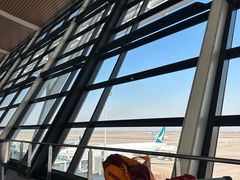 -上海浦东国际机场-T2航站楼
