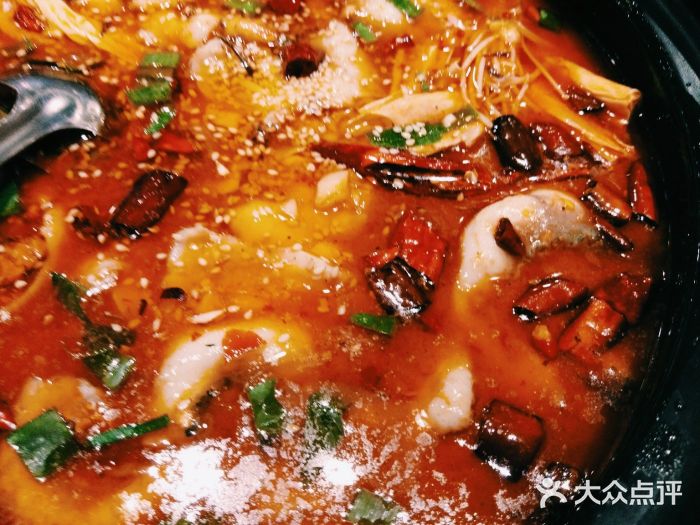 柠檬鱼火锅(万象汇店)-香辣鱼图片-淄博美食-大众点评网