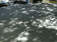 -上海理工大学(复兴路校区)