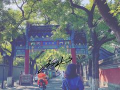 -北京国子监胡同