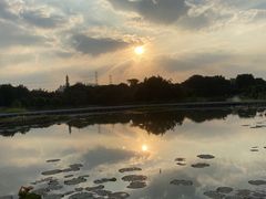 -海珠湖公园