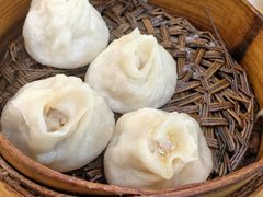 -常鲜德乐购迎桂馒头店(麻巷公寓店)