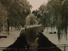 -长白岛森林公园
