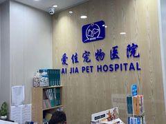 -爱佳宠物中心医院24H·CT·骨外科·猫专科(瑶海万达店)