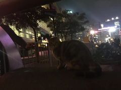 -香港回归祖国纪念碑