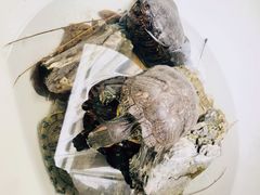 -阿姨食堂