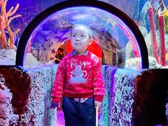 -沈阳海洋探索中心