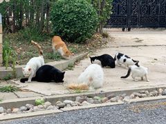 -天津东丽湖风景区