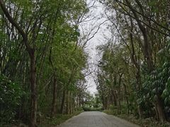 -深圳国际园林花卉博览园