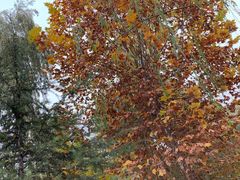 -泰安地下龙宫景区