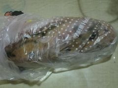 -蒲公英(象山北路店)