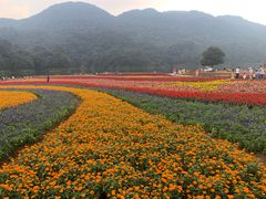 -广州市石门国家森林公园