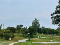 -两河城市森林公园