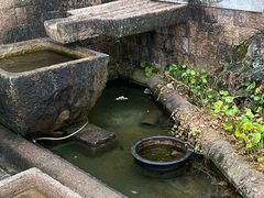 -瑞安圣井山景区