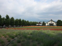 -富田农场