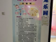 -喵宠乐园·撸猫互动·猫舍