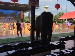 -东芭乐园
