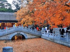 -香山公园