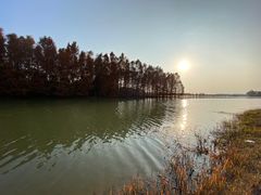 -上海海湾国家森林公园