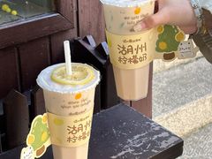 -猫的魔法密林(衣裳街店)
