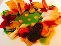 -蝶舍·MAISON PAPILLON