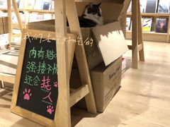 -猫的天空之城概念书店(苏州平江店)