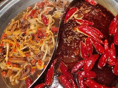 -小龙坎火锅(东汇城店)