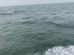 -新戴河浅水湾浴场