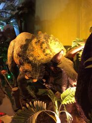 -恐龙探索乐园(磁器口店)