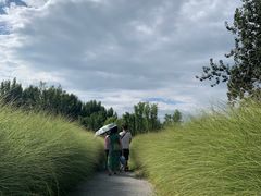 -汉长安城未央宫国家考古遗址公园