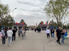 -红碱淖景区