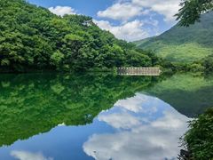 -龙道沟景区