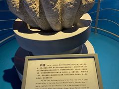 -泉城欧乐堡海洋极地世界